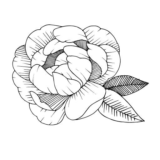 cropped-Copy-of-Bridal-Boutique-Branding.jpg